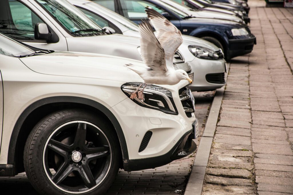 car_04_1920-1080